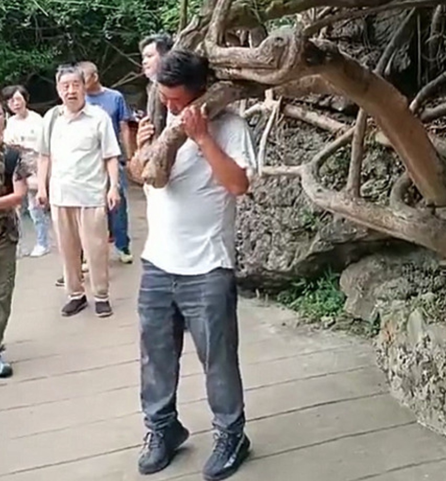 贵州男子将头伸进树杈拍照，不料被卡脖，当事人的内心会有多尴尬？