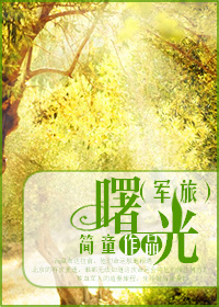 军旅小说曙光番外篇