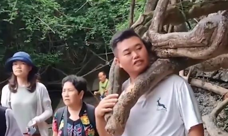 贵州男子将头伸进树杈拍照，不料被卡脖，当事人的内心会有多尴尬？