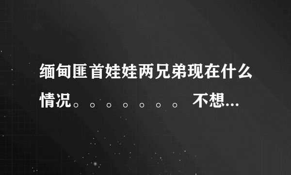 缅甸匪首娃娃两兄弟现在什么情况。。。。。。。 不想要复制的、、、