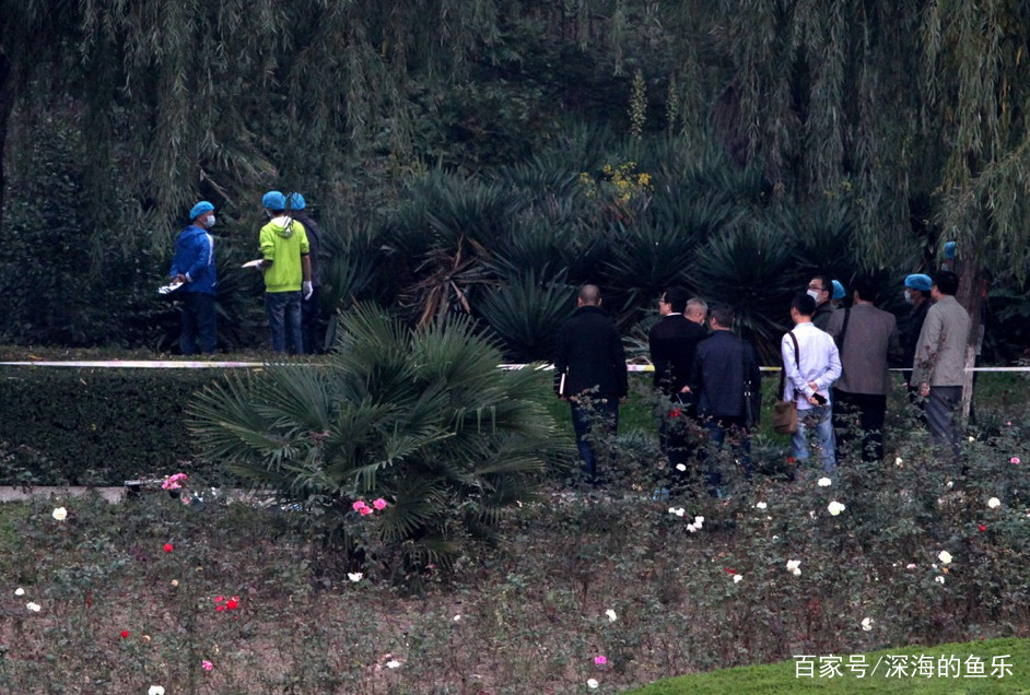 湖北十堰女孩晨跑失踪地多处可见监控，这位女孩究竟是如何被害的？