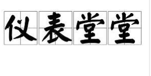仪表堂堂的意思