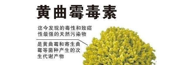 黑龙江一家9口聚餐中毒致7死，为何原因令人咋舌？