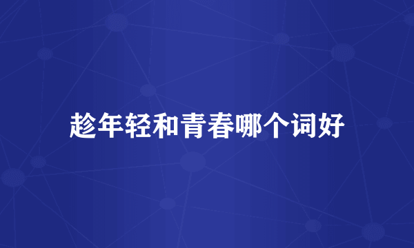 趁年轻和青春哪个词好
