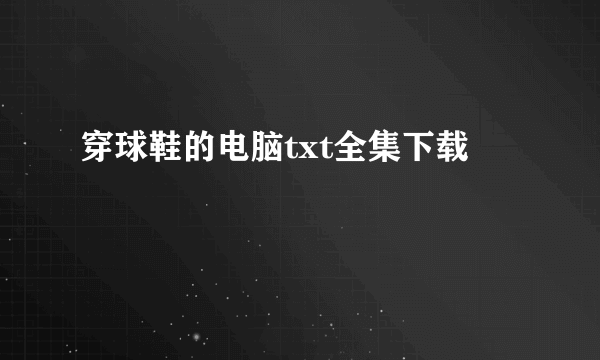 穿球鞋的电脑txt全集下载