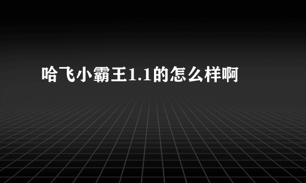 哈飞小霸王1.1的怎么样啊