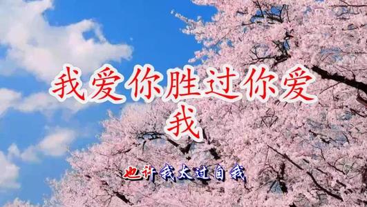 我爱你胜过你爱我原唱