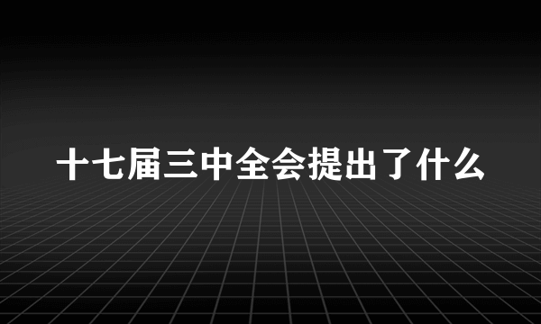 十七届三中全会提出了什么