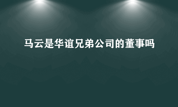 马云是华谊兄弟公司的董事吗