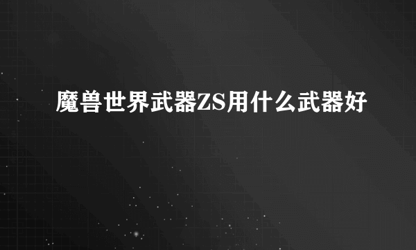 魔兽世界武器ZS用什么武器好