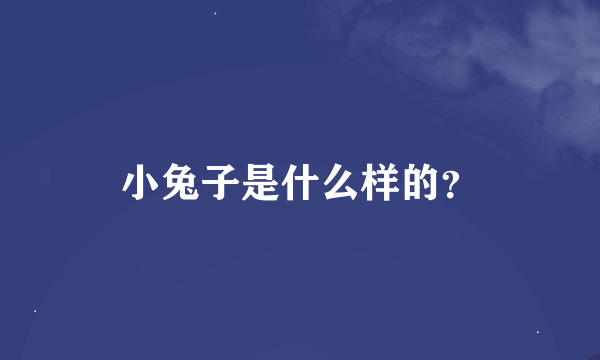 小兔子是什么样的？