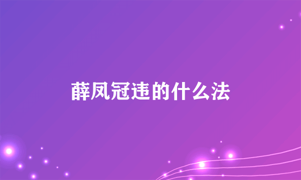 薛凤冠违的什么法