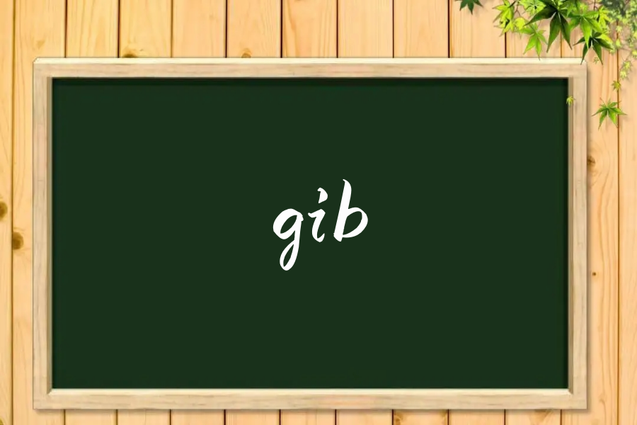 gib是什么意思