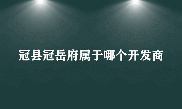 冠县冠岳府属于哪个开发商