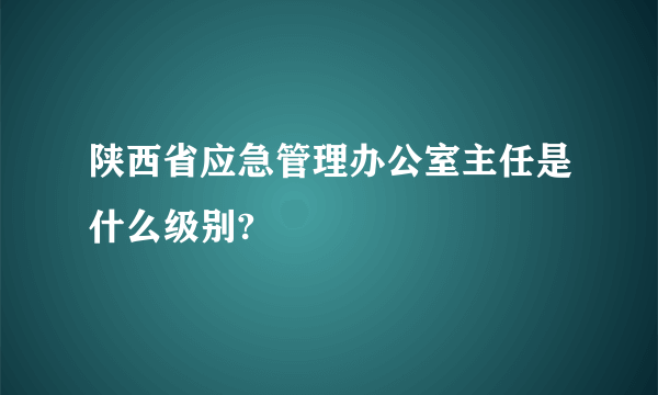 陕西省应急管理办公室主任是什么级别?