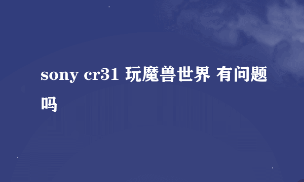 sony cr31 玩魔兽世界 有问题吗