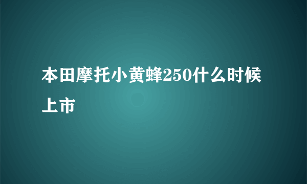 本田摩托小黄蜂250什么时候上市