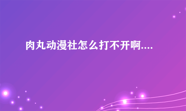 肉丸动漫社怎么打不开啊....