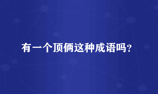 有一个顶俩这种成语吗？
