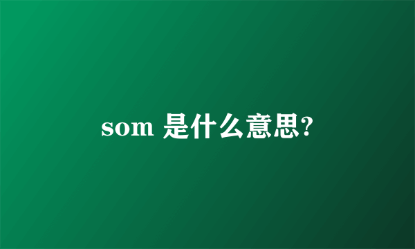 som 是什么意思?