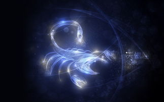 值得花一辈子去爱的星座是谁？
