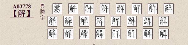 解是什么字？