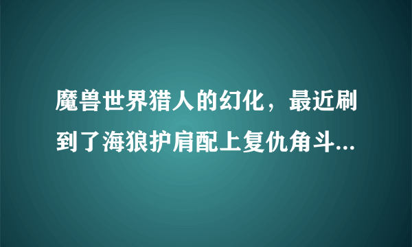 魔兽世界猎人的幻化，最近刷到了海狼护肩配上复仇角斗士的长弓