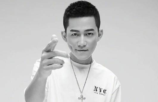 苏醒新歌《破亿》内涵娱乐圈，引发热议，究竟怎么回事？
