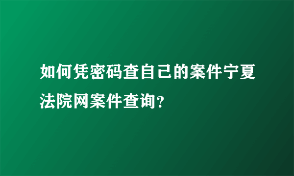如何凭密码查自己的案件宁夏法院网案件查询？