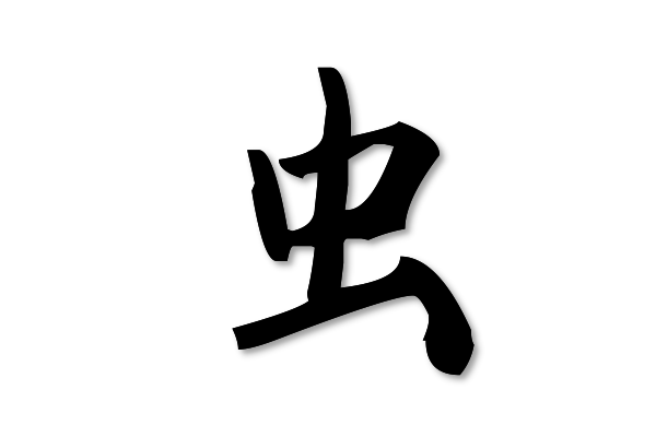 虫的拼音怎么读
