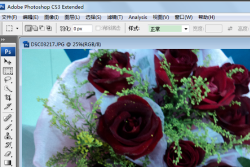 Photo Shop PS怎么进行抠图