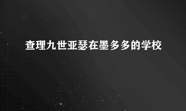 查理九世亚瑟在墨多多的学校
