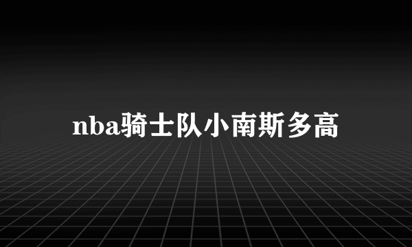 nba骑士队小南斯多高