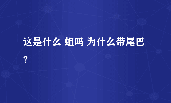 这是什么 蛆吗 为什么带尾巴？