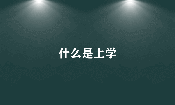 什么是上学