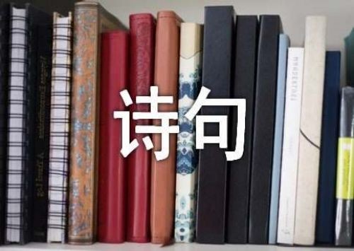 含云的诗句
