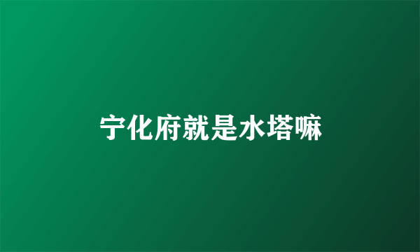 宁化府就是水塔嘛