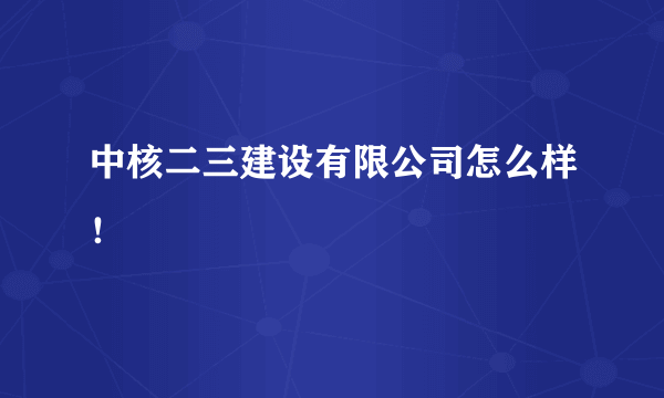 中核二三建设有限公司怎么样！