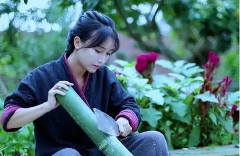 李子柒斥300余账号恶意侵权，这是怎么回事？