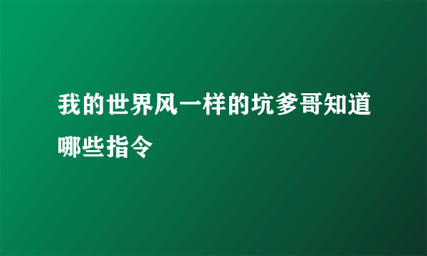 我的世界风一样的坑爹哥知道哪些指令