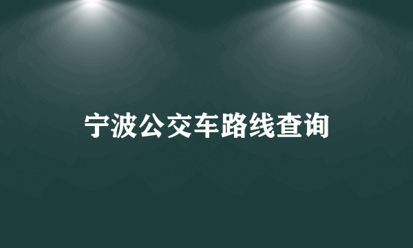 宁波公交车路线查询