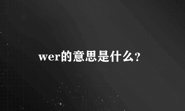 wer的意思是什么？