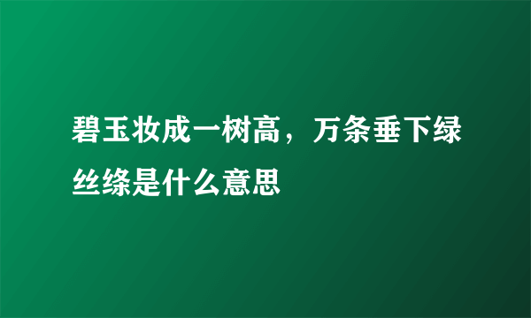 碧玉妆成一树高，万条垂下绿丝绦是什么意思