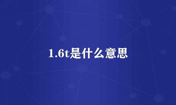 1.6t是什么意思