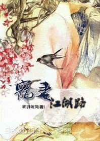 宠妻江湖路_by明月听风_txt全文免费阅读