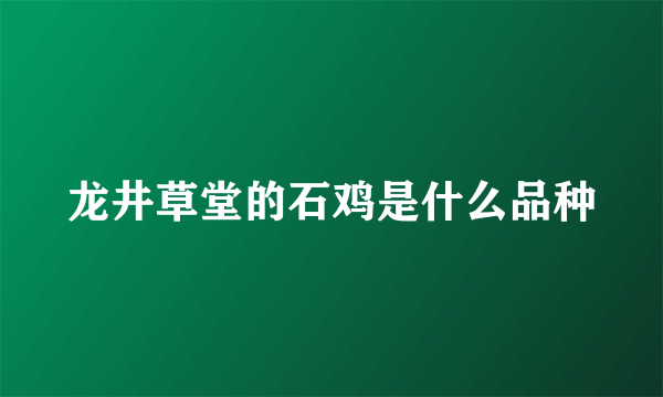 龙井草堂的石鸡是什么品种