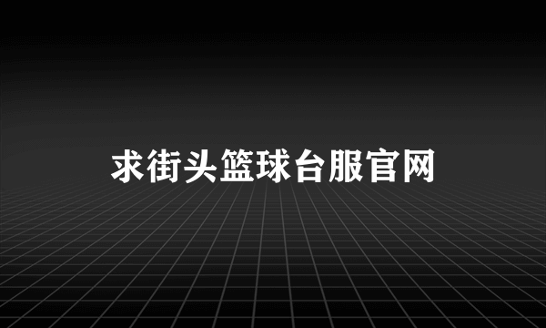 求街头篮球台服官网