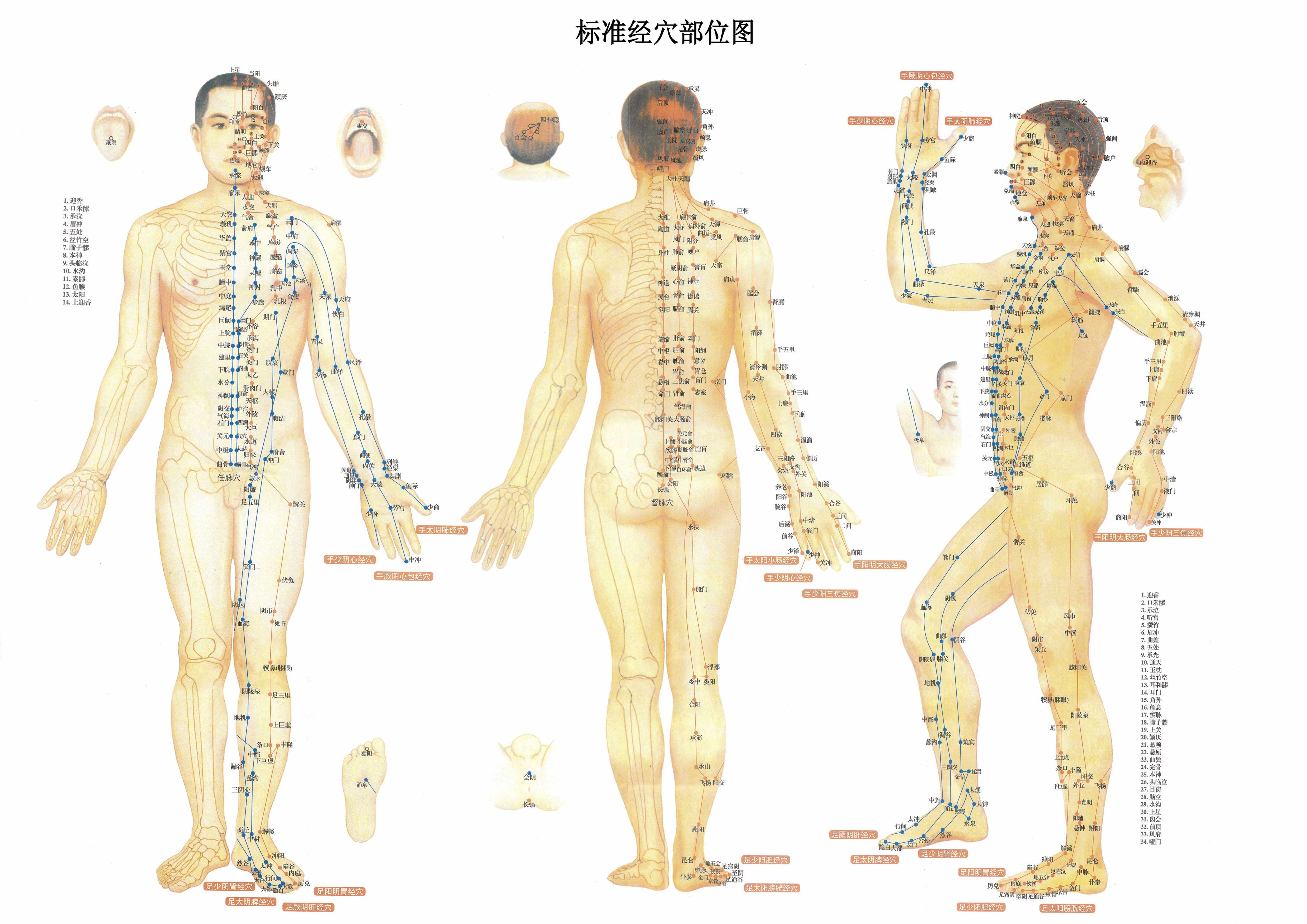 胸部正中央的穴位叫什么？（最好附张人体学位分布图）谢谢！