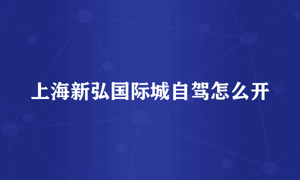 上海新弘国际城自驾怎么开