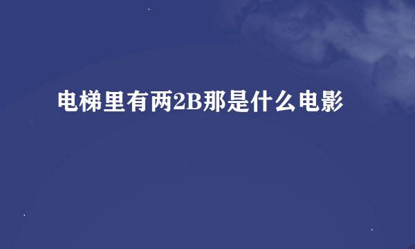电梯里有两2B那是什么电影